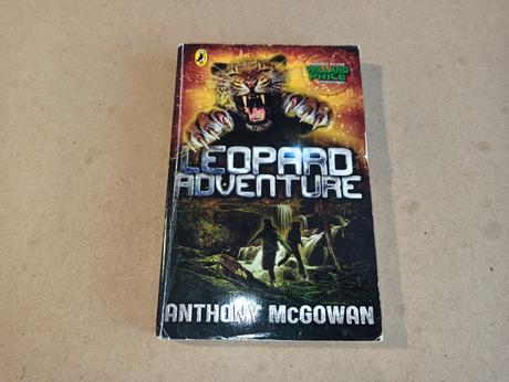 Anglicke citanie do knihobudky - chapter books, 