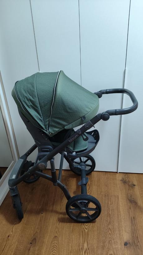 Kočík roan bloom green dots, roan,roan bloom