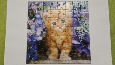 Puzzle zvieratká 3 x 55 ks, 