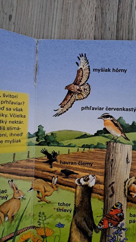 Zvukova kniha svet zvierat, 