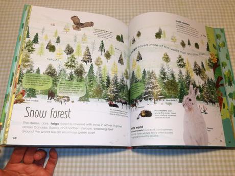 Jen green the magic & mystery of trees  nau21, 