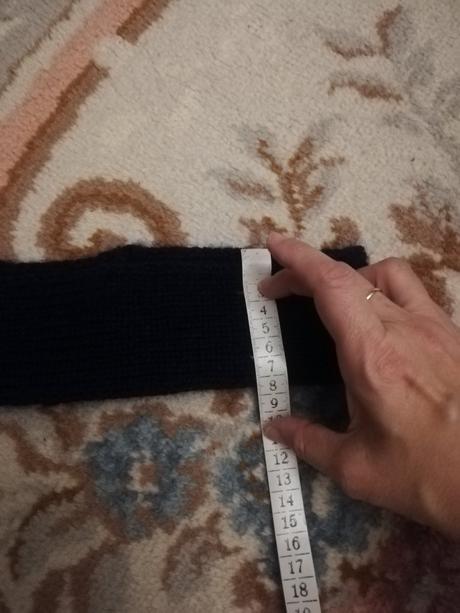 Tmavomodrá čelenka, l