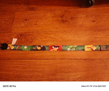 Disney chlapčensky opasok, disney