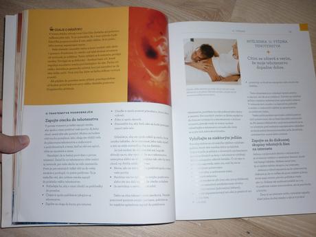 Sprievodca tehotenstvom, 