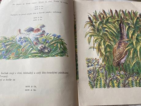 Prvá poľovačka vitalij bianki,