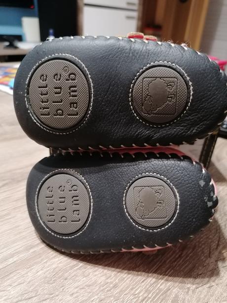 Little blue lamb capačky, little blue lamb,23