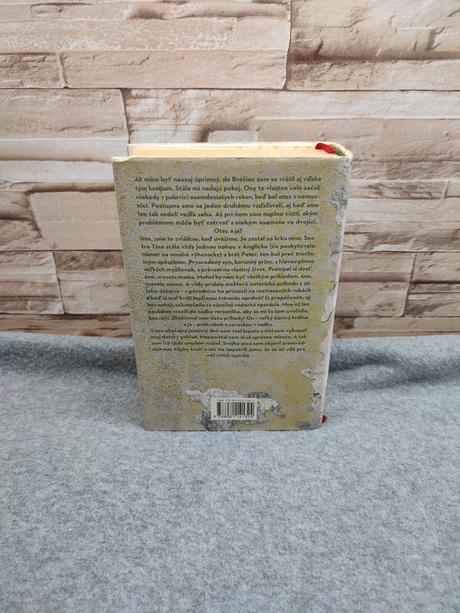 Dom hluchého - peter krištúfek, 