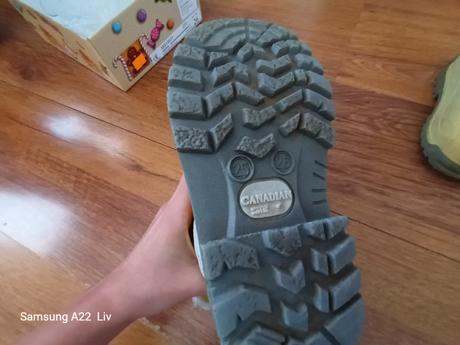 Canadian snehule, protetika,25