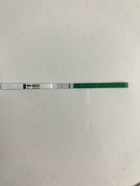 Je to tam - som tehotná?