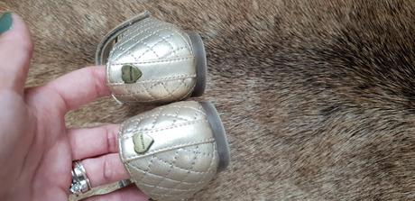 Topanocky, mayoral,26