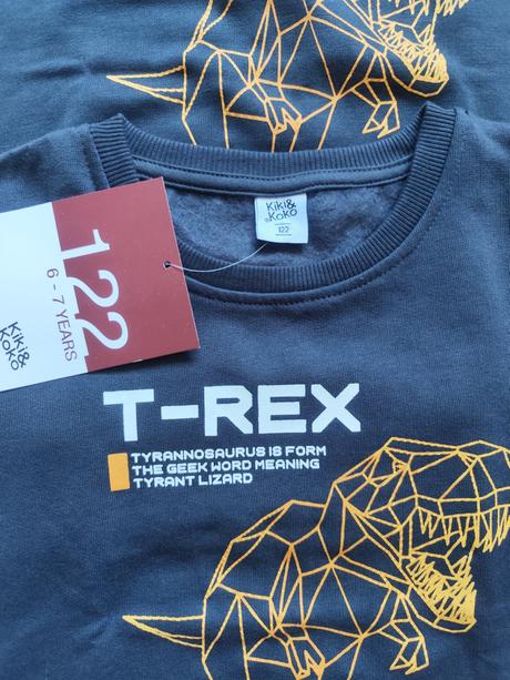 Zateplené mikiny t-rex, kiki&koko,116