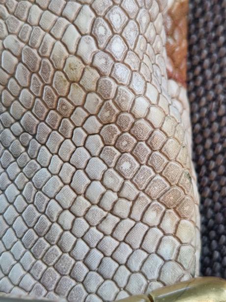 Malá kabelka desigual, desigual