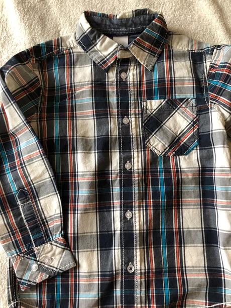 Kosela palomino 110, palomino,110