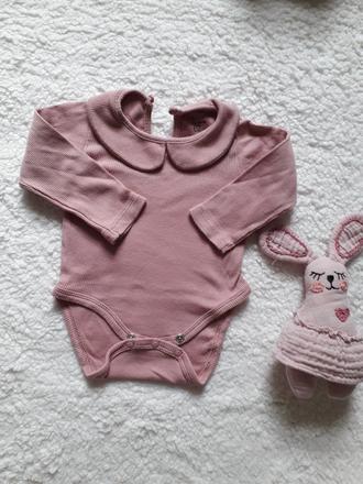 Body, fox & bunny,62