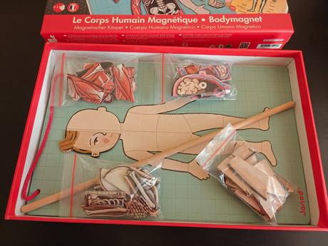 Magnetické ľudské telo (janod), 