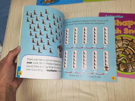 Animaths set njul18,