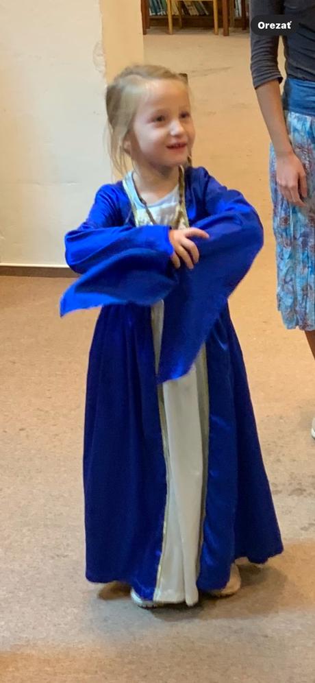 Saty na karneval elza,