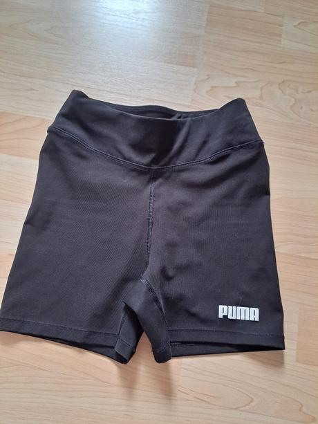 Kratase puma, puma,146