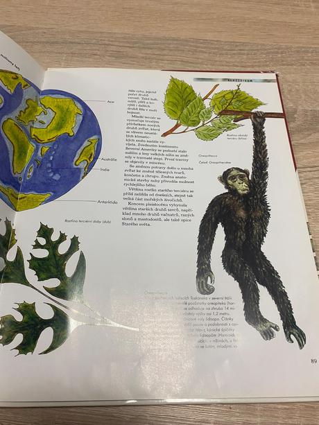 Vědomosti v kostce veľká kniha dinosauři,