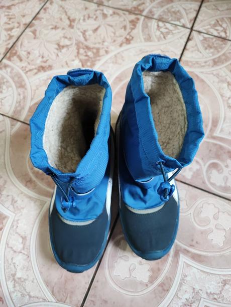 Snehule puma, puma,33