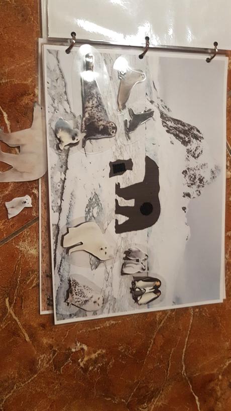 Triedenie zvierat podla prostredia, 