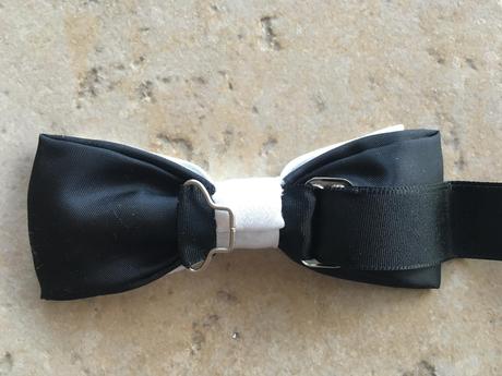 Motýlik chlapčenský,