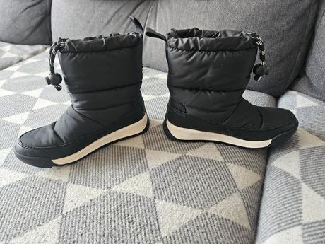 Snehule sorel, sorel,28