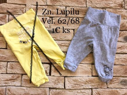 Leginy, lupilu,62