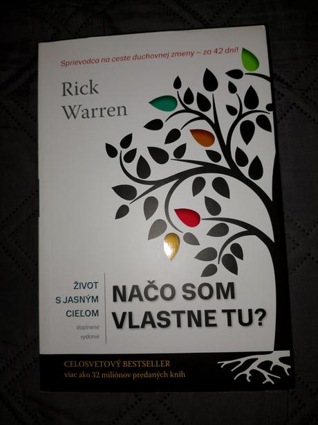 Na čo som vlastne tu, 