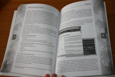 Marketing na internetu,