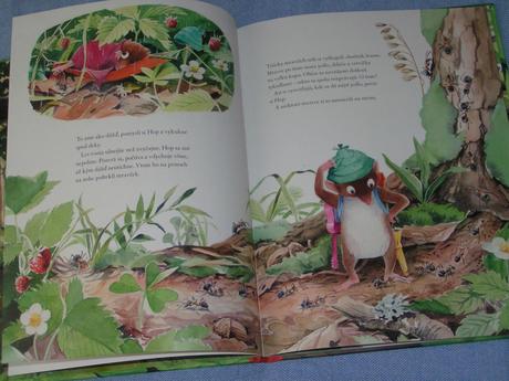 Hop objavuje svet v korune stromu,