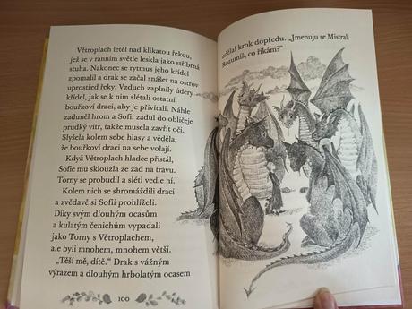 Bourkovy drak,
