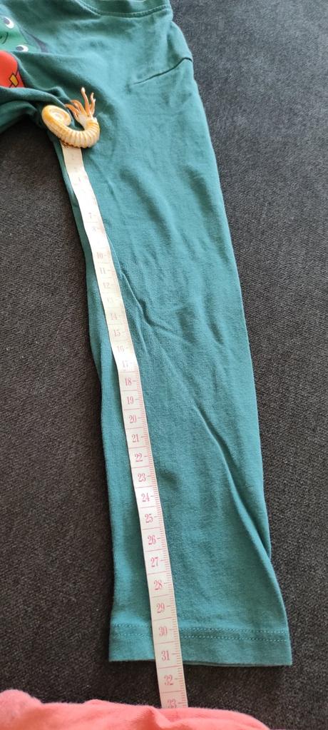 Dino tričko s dlhými rukávmi 122, c&a,122