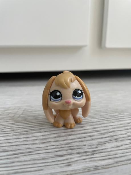 Lps zajkovia s ušami dole,