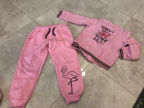 Suprava lupilu s plameniakom 110/116, 104–116