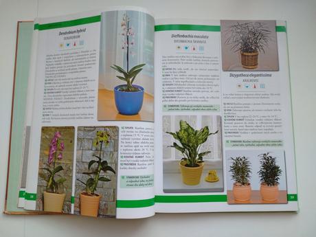 Pestujeme izbové rastliny, 