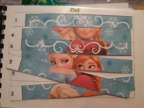 Zosit s aktivitami frozen (activity book),
