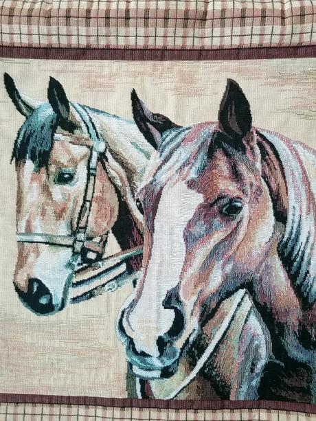 Poťah na vankúš, šírka (cm): 45,dĺžka (cm): 40