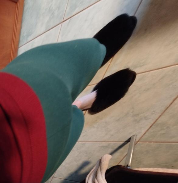 Som tehotná alebo nie?