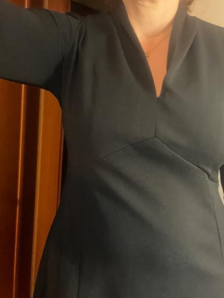 Šary morgan, morgan,40