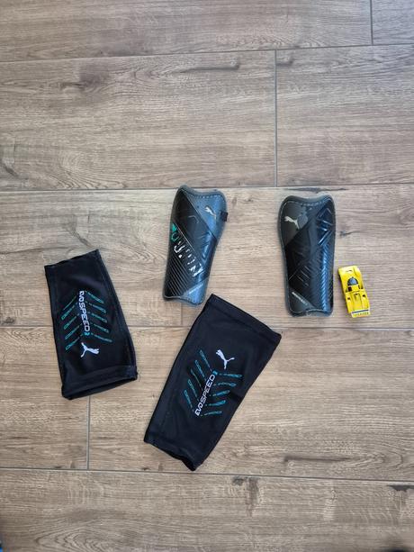 Chranice predkol., puma,158