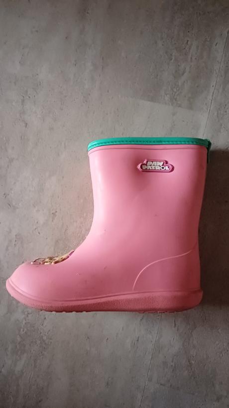 Gumaky paw patrol sky, disney,29