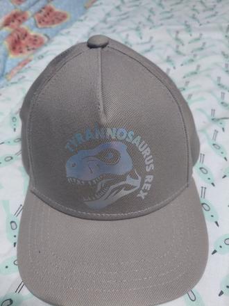 Šiltovka-dinosaurus, takko,98