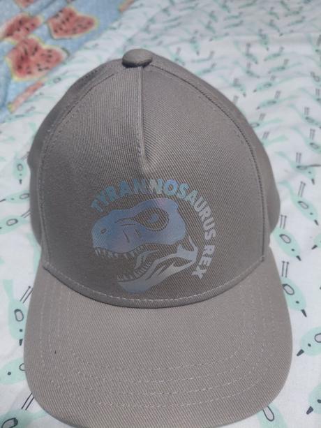Šiltovka-dinosaurus, takko,98