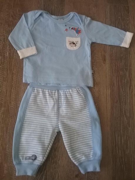 Modra supravka, ergee,62