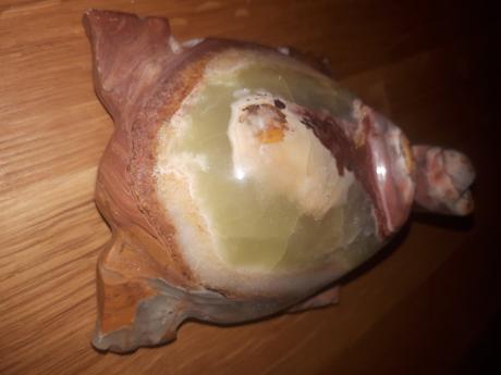 Korytnačka z onyxu, 