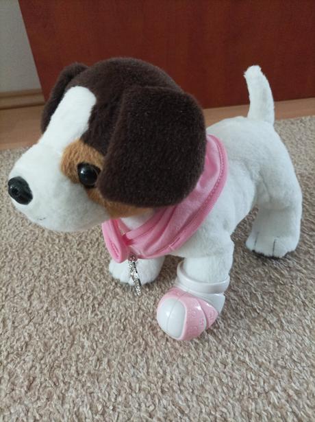 Psik bolavou labkou, 