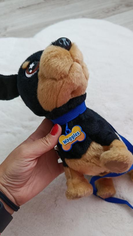 Waggles chodiaci psik,