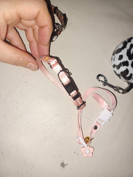 Obojok+ voditko pre macicku,