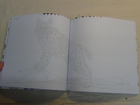 Trianimals colour me wild nea18, 